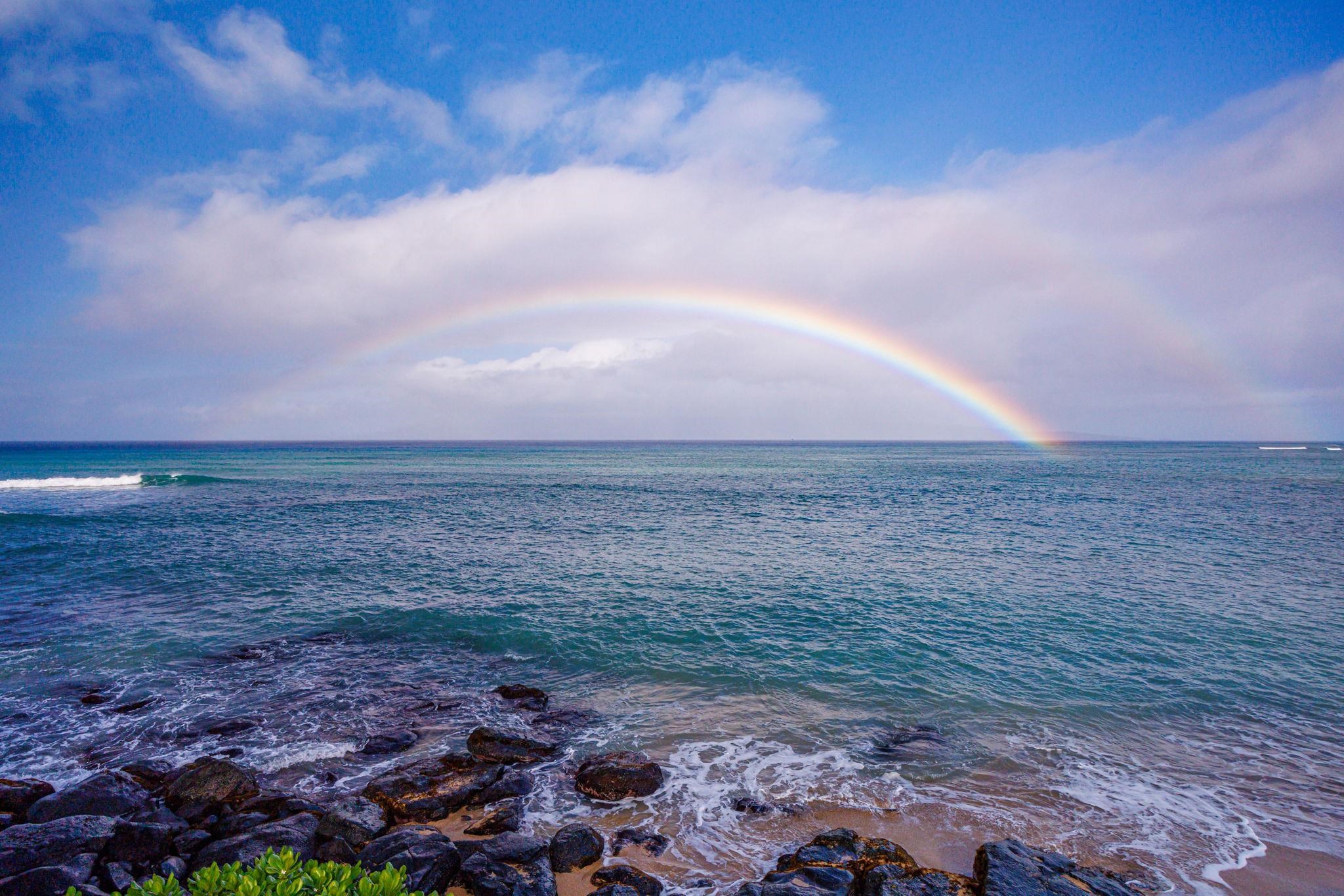 4401 Lower Honoapiilani Road, Unit B603 Lahaina, HI 96761 - Photo 8 of 41 a view of a yard and an ocean