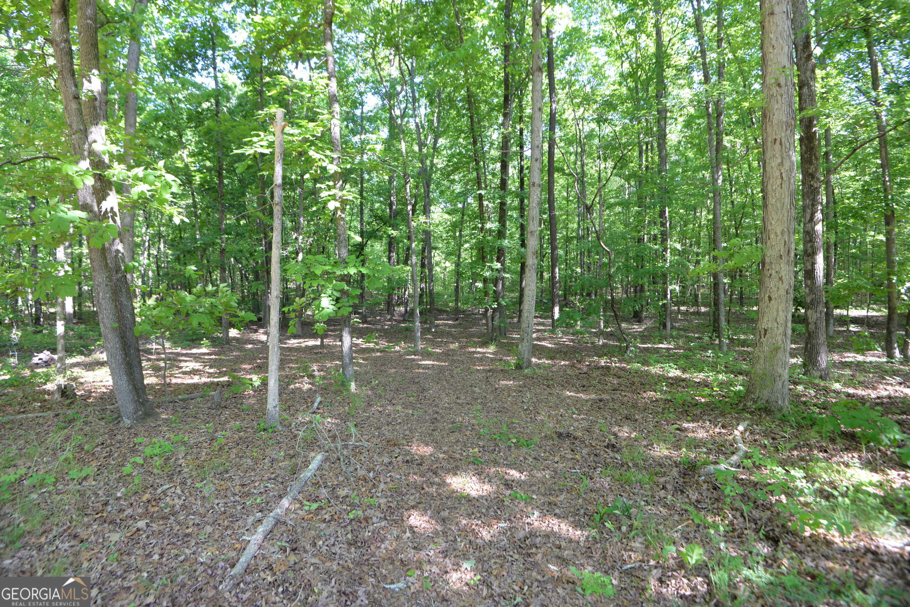 3478 Highway 81 Hampton, GA 30228 - Photo 21 of 21