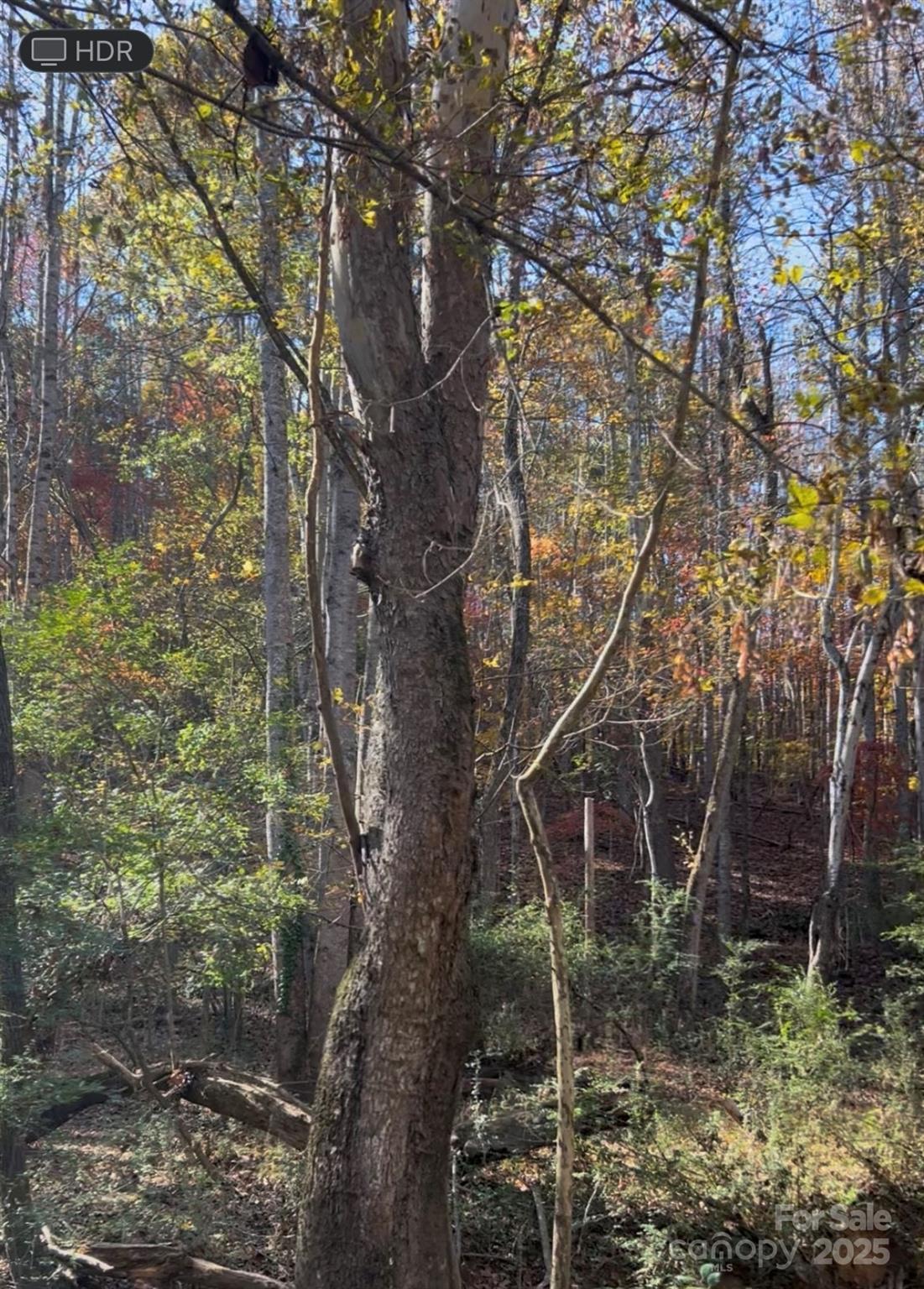0 Snuggs Park Road Albemarle, NC 28001 - Photo 2 of 2 a backyard of a house with lots of green space