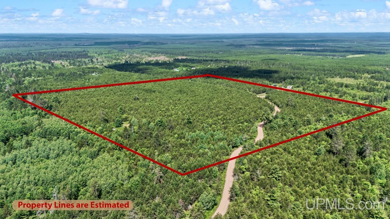Tbd Bryan Creek Road Ishpeming, MI 49849 - Photo 4 of 16
