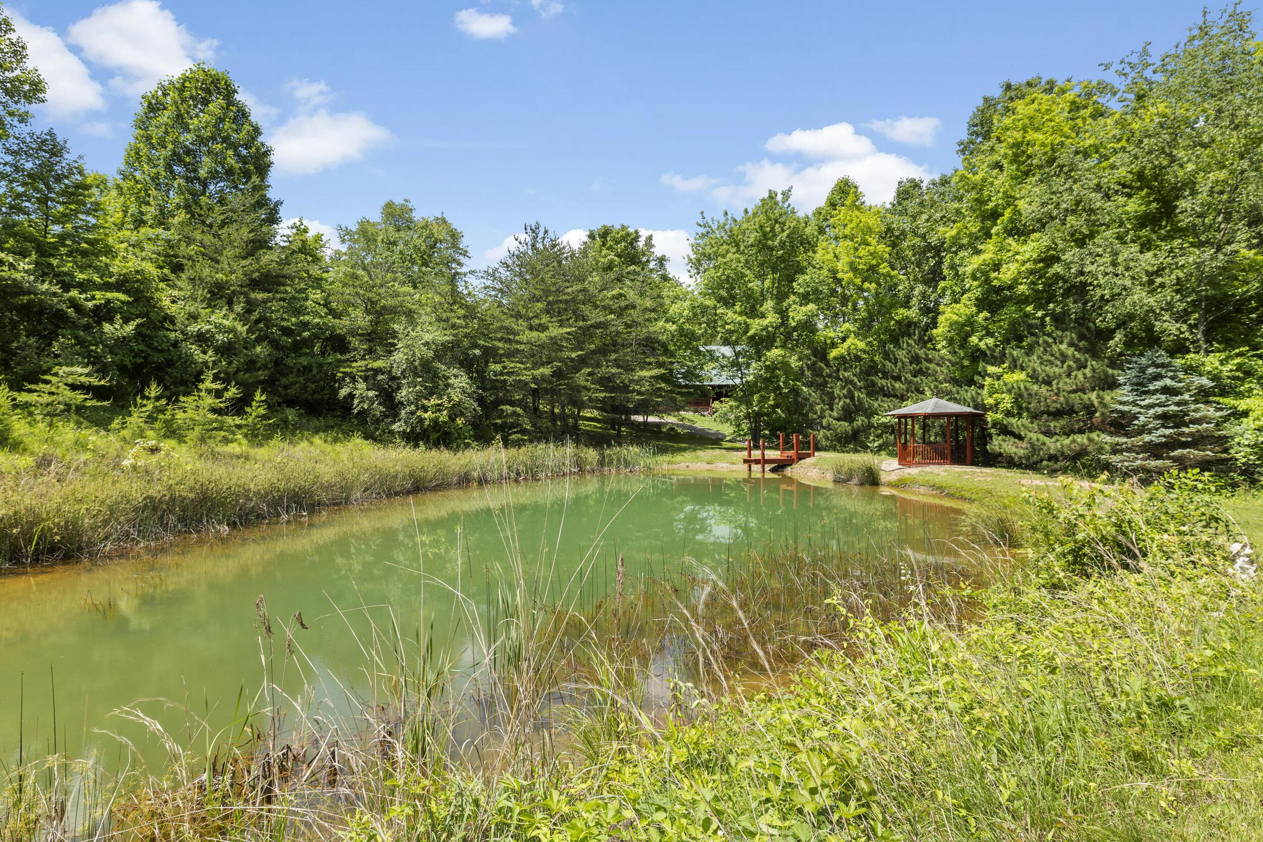 31434 Fairview Ridge Road Logan, OH 43138 - Photo 36 of 40 35_pond 01