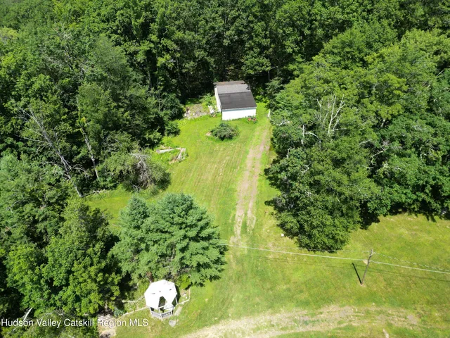 a plant that is in a garden