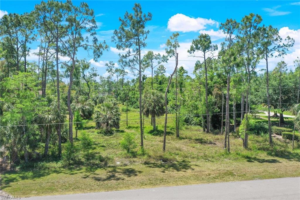0 Hunters Road Naples, FL 34109 - Photo 3 of 12 Gallery Image 3