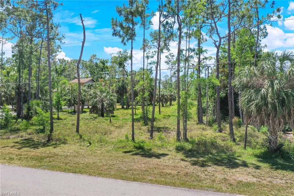 0 Hunters Road Naples, FL 34109 - Photo 7 of 12 Gallery Image 7