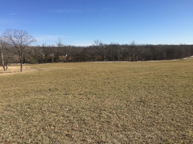 370 County Road New Bloomfield, MO 65063 - Photo 2 of 7