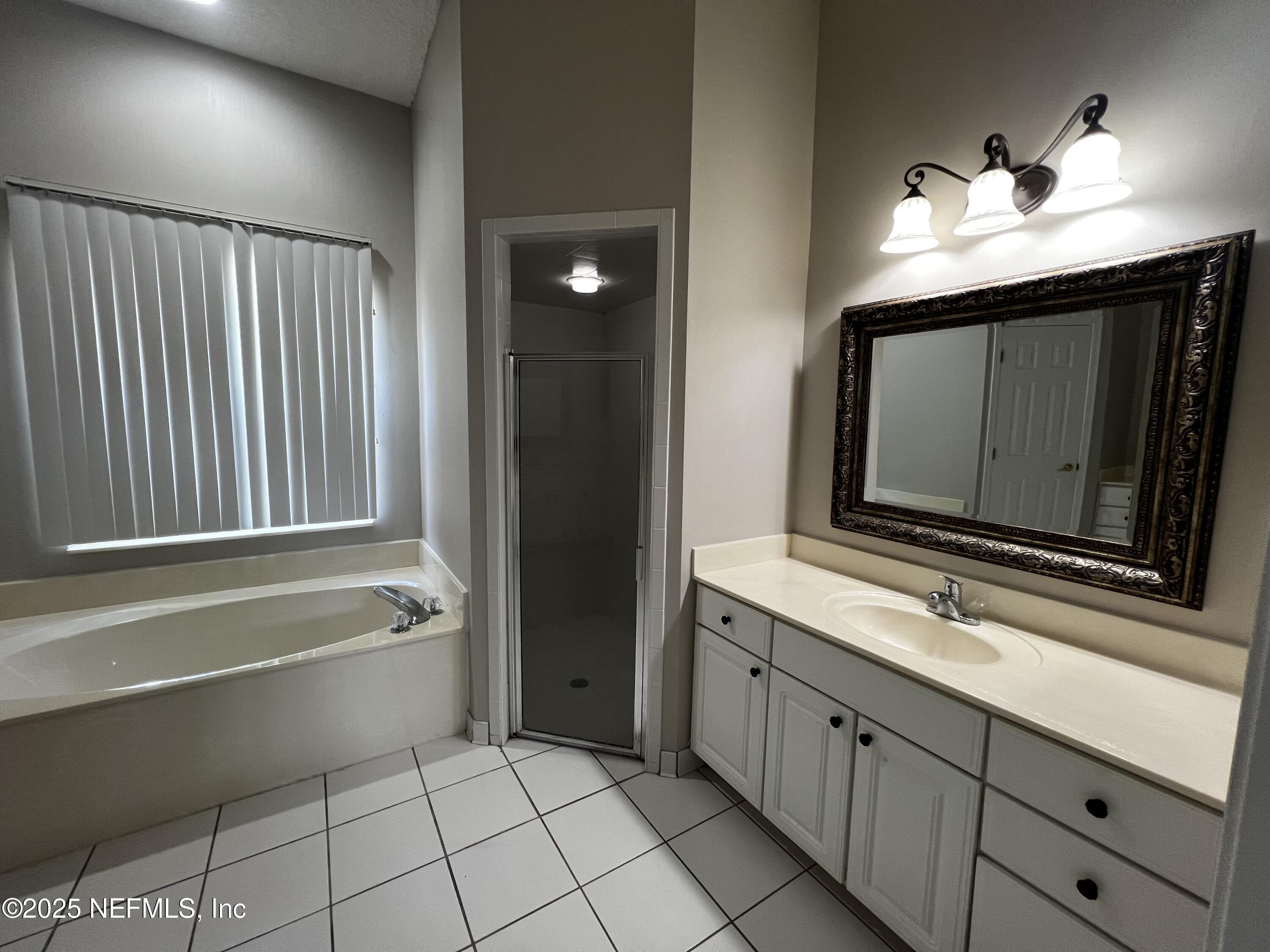 10310 Hamlet Glen Drive Jacksonville, FL 32221 - Photo 17 of 33 a bathroom with a sink and a mirror