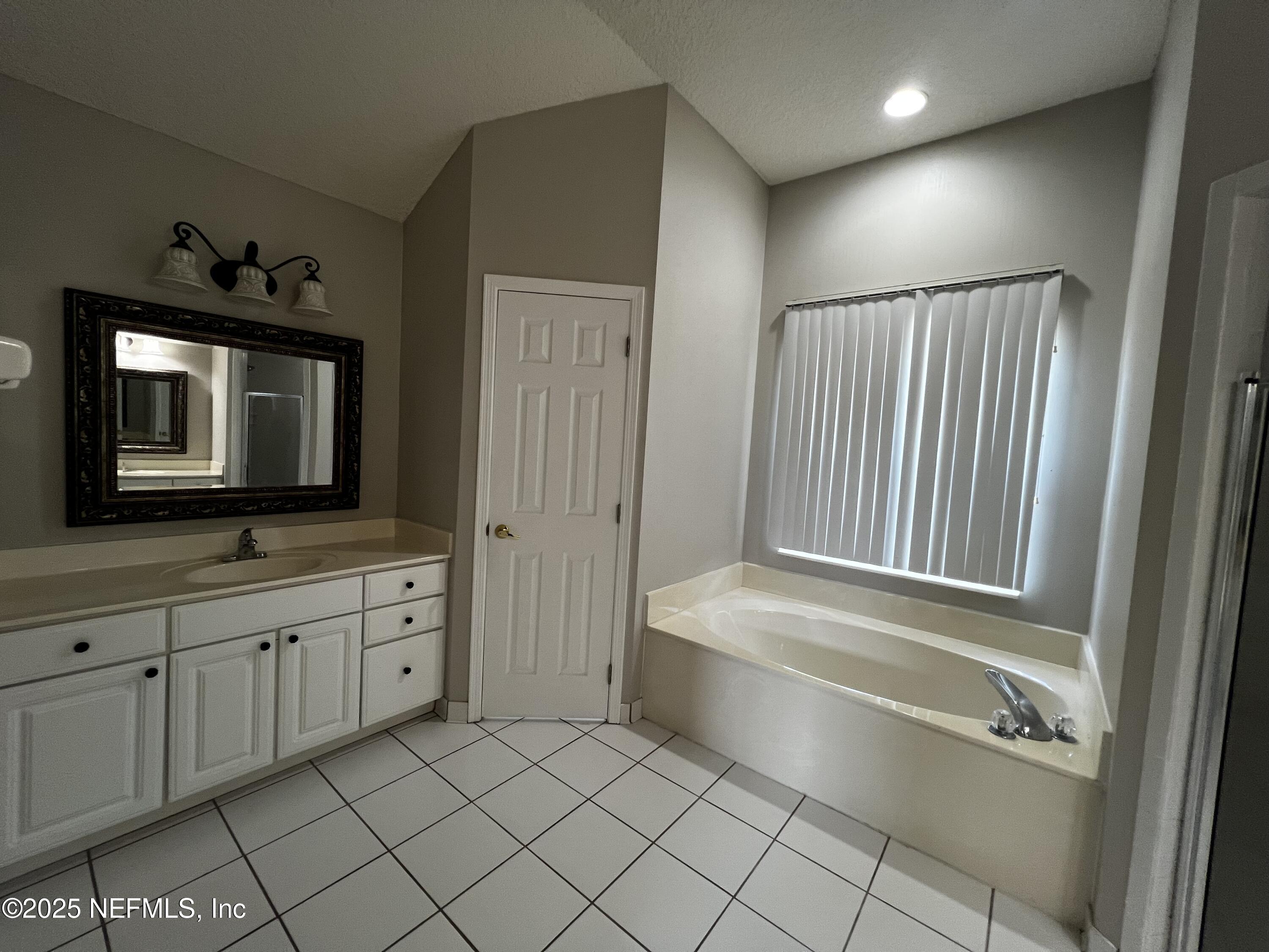 10310 Hamlet Glen Drive Jacksonville, FL 32221 - Photo 18 of 33 a bathroom with a tub sink and mirror