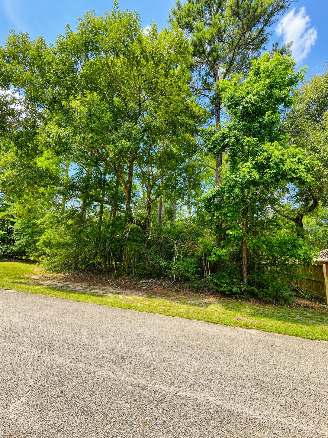 0 Ridgecrest Street Magnolia, TX 77354 - Photo 1 of 4