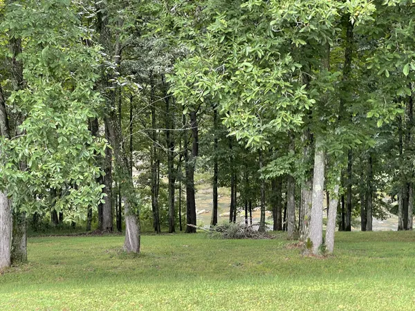 a big yard with lots of green space and trees