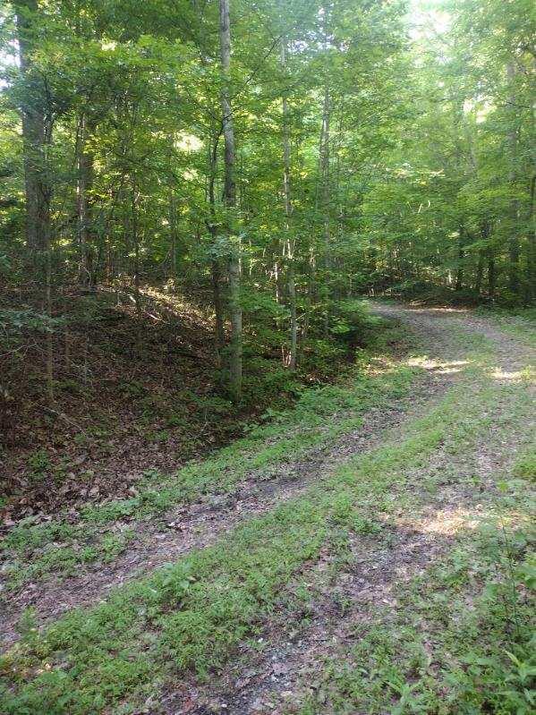 2 Boulder Drive Dunlap, TN 37327 - Photo 4 of 7 image000007