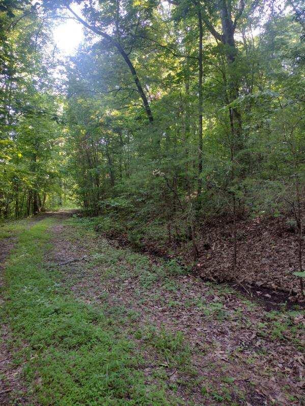 2 Boulder Drive Dunlap, TN 37327 - Photo 5 of 7 image000006