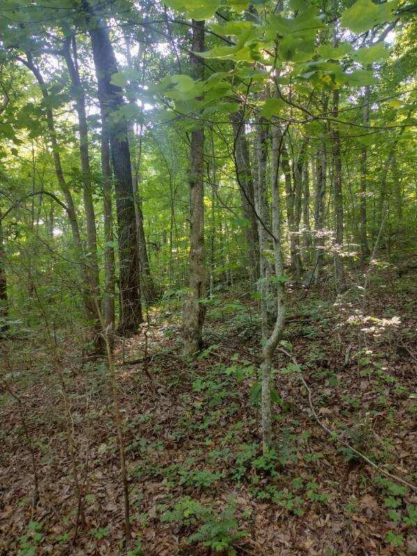 2 Boulder Drive Dunlap, TN 37327 - Photo 6 of 7 image000005