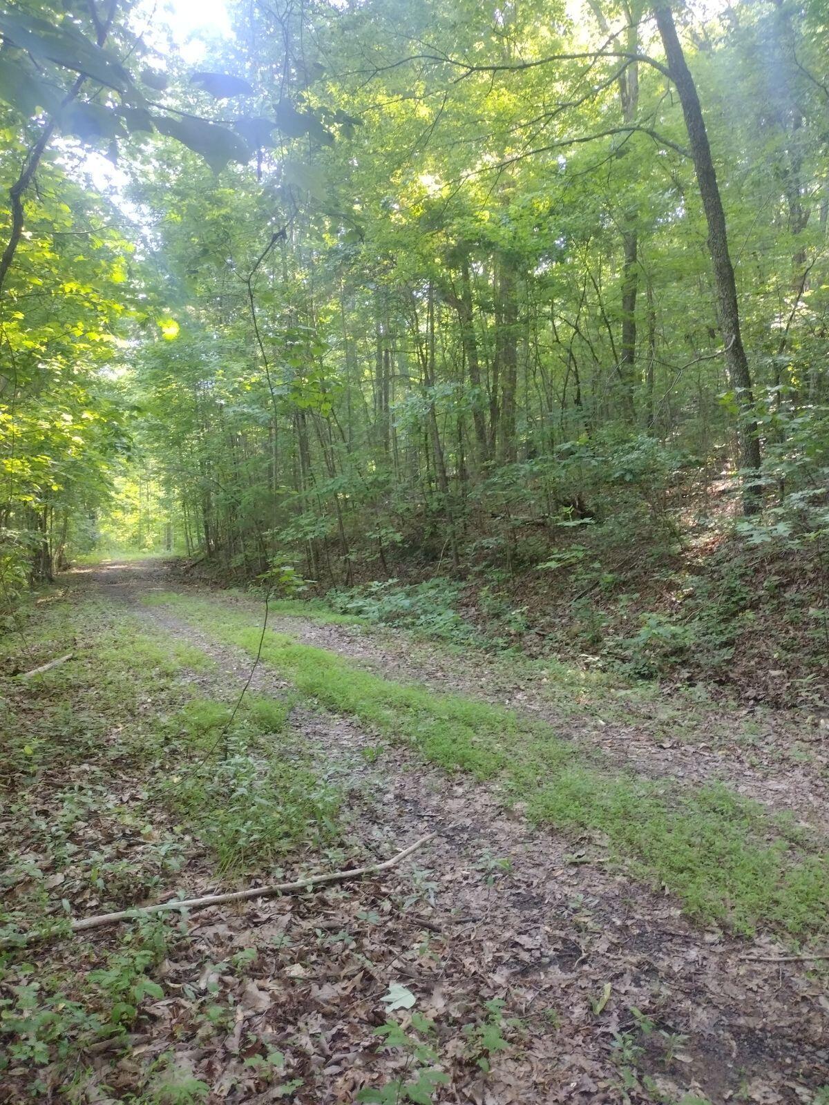 2 Boulder Drive Dunlap, TN 37327 - Photo 7 of 7 image000000