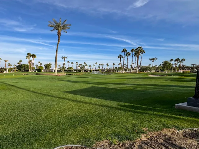 a view of a park and a yard