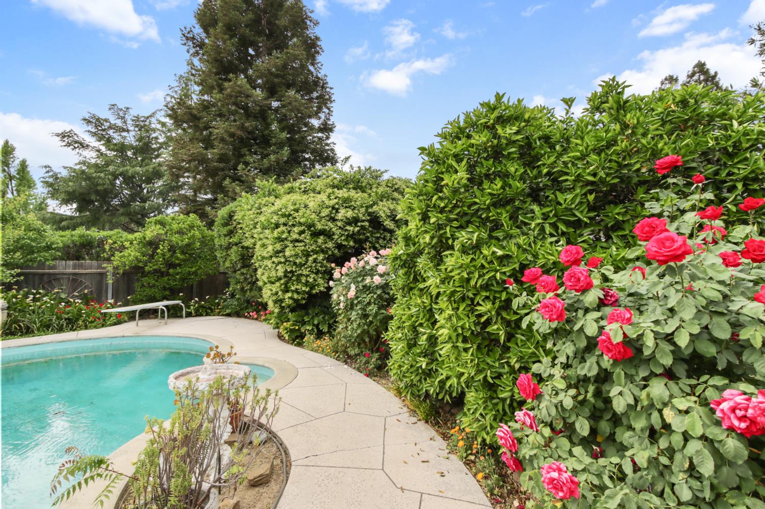 102 Rancho Way Woodland, CA 95695 - Photo 50 of 55