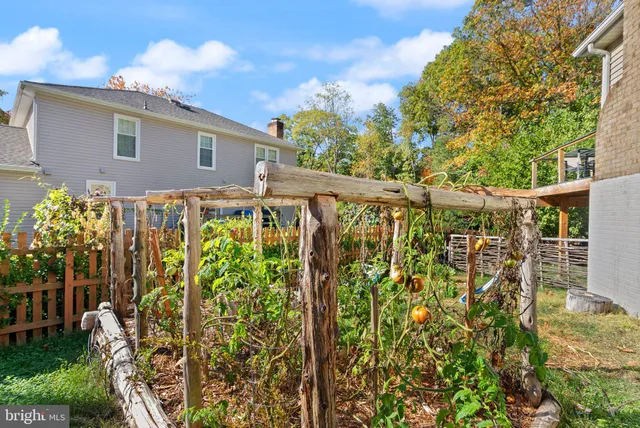 a house that has a tree in front of it