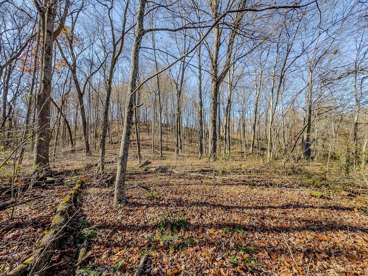 9615 Rural Dale Road Blue Rock, OH 43720 - Photo 59 of 83 9615 Rural Dale Rd-59