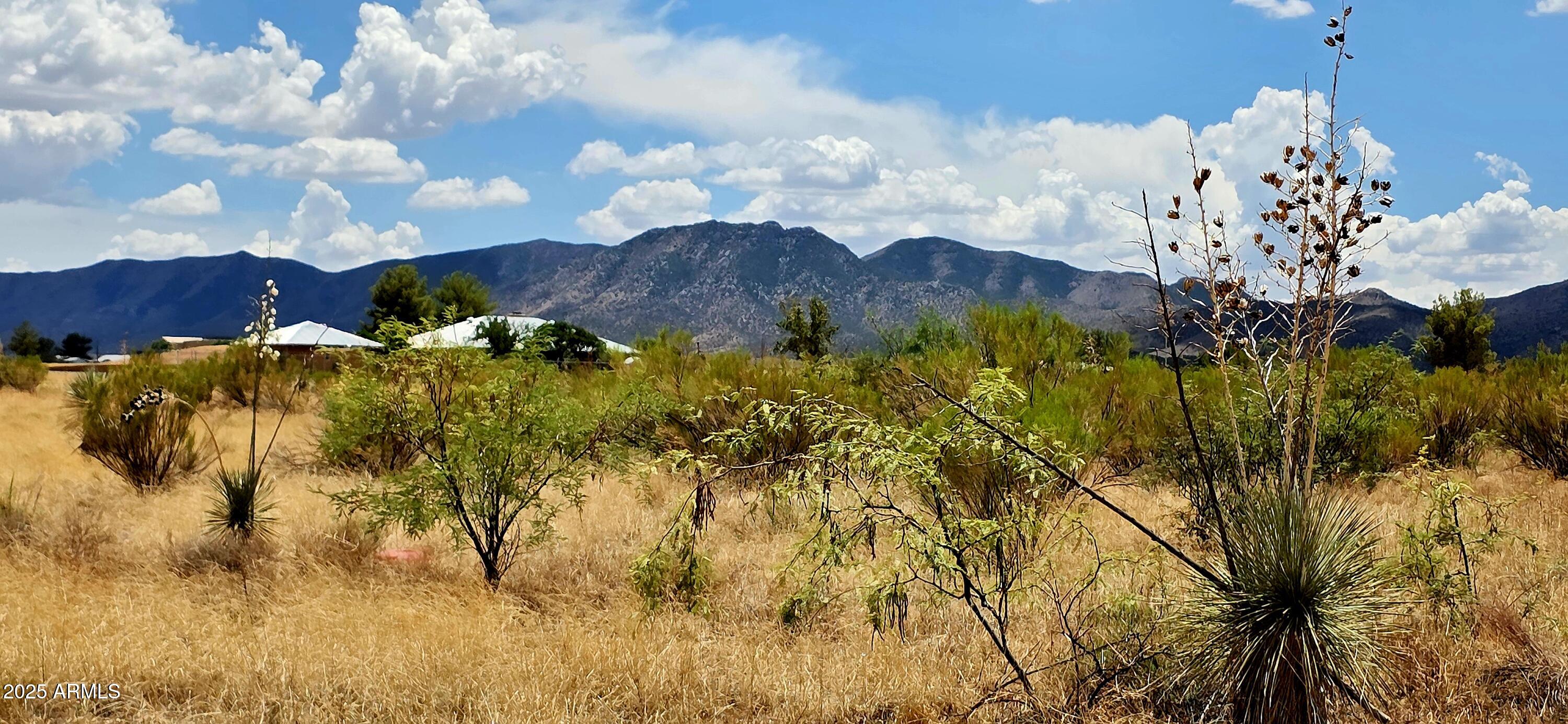 Lot 20 Willcox Road, Unit 20 Pearce, AZ 85625 - Photo 2 of 5 Lot 20 Willcox Road