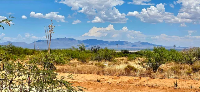 $9,000 | Lot 20 Willcox Road, Unit 20, Pearce, AZ 85625