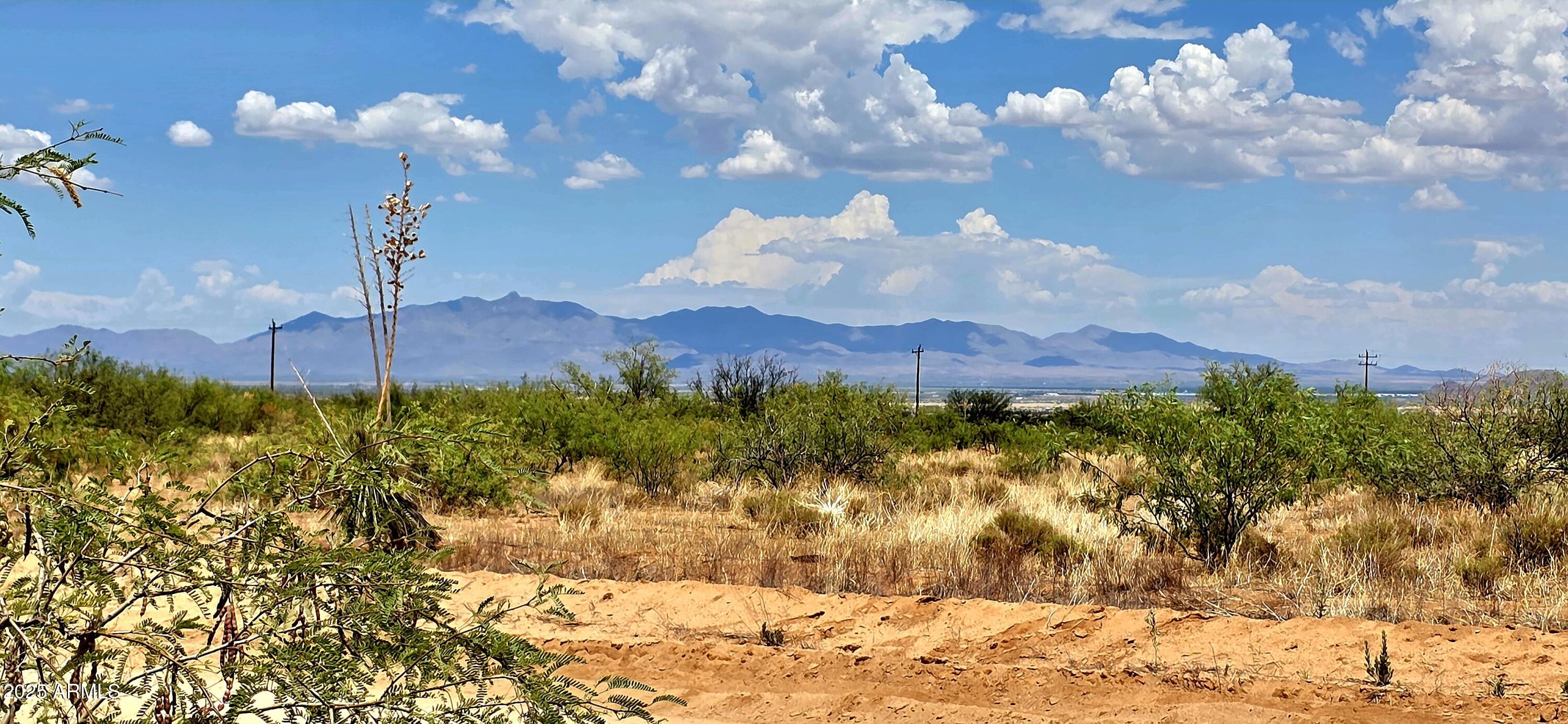 Lot 20 Willcox Road, Unit 20 Pearce, AZ 85625 - Photo 3 of 5 Lot 20 Willcox Road