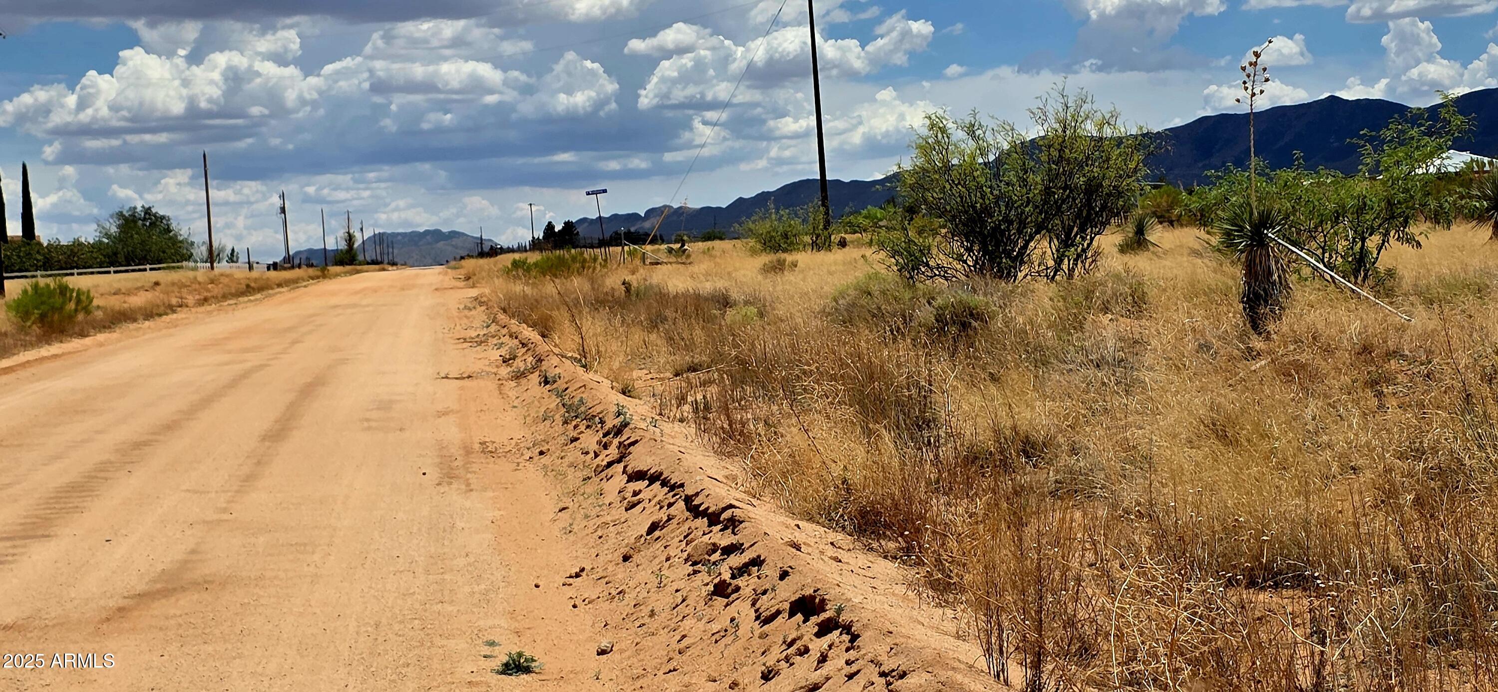 Lot 20 Willcox Road, Unit 20 Pearce, AZ 85625 - Photo 4 of 5 Lot 20 Willcox Road