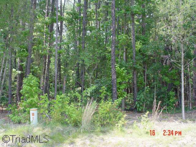 7147 Ludgate Road Gibsonville, NC 27249 - Photo 4 of 7 Other. Lot 24 Glen Oaks