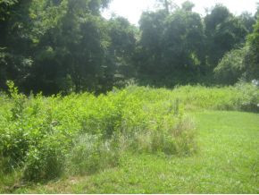 154 Ug Buckles Road Elizabethton, TN 37643 - Photo 4 of 5 Photo 4