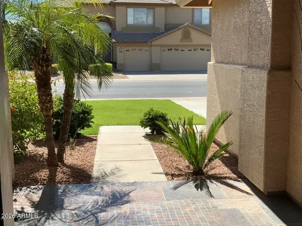 a picture of a yard
