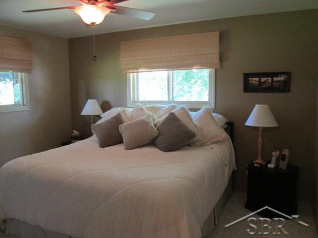 8313 Geddes Road Saginaw, MI 48609 - Photo 9 of 21 Master Bedroom