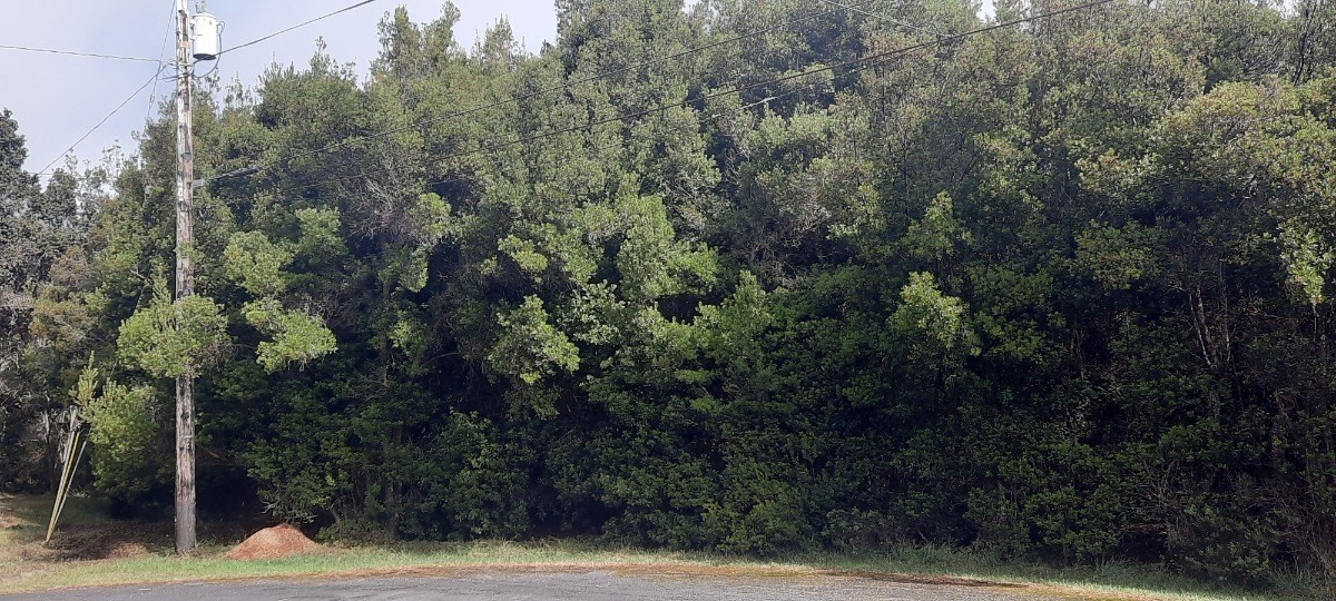 a view of a house with a street