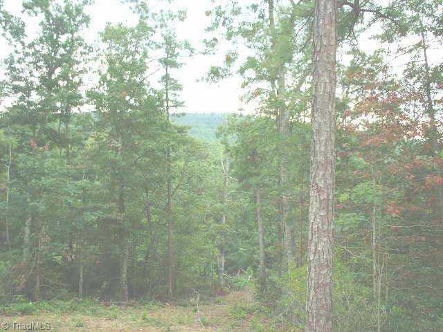 0 Northwest Frye Road Westfield, NC 27053 - Photo 3 of 6 Other. View from homesite to lane leading in from driveway