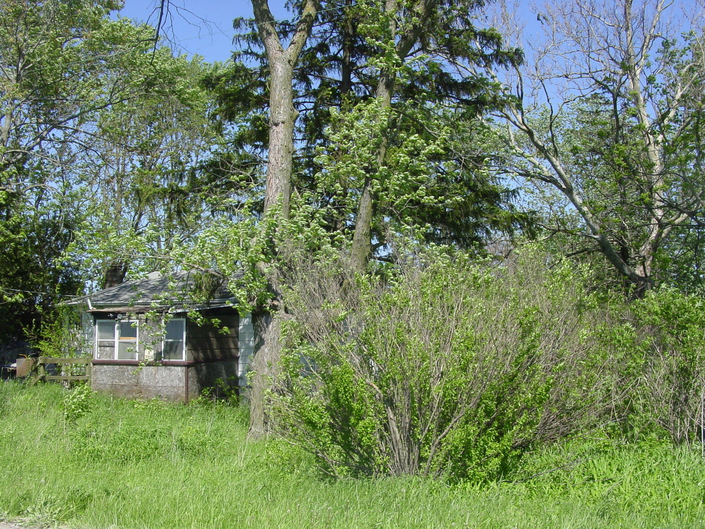 27461 South Scheer Road Manhattan, IL 60442 - Photo 4 of 7 a view of house with yard