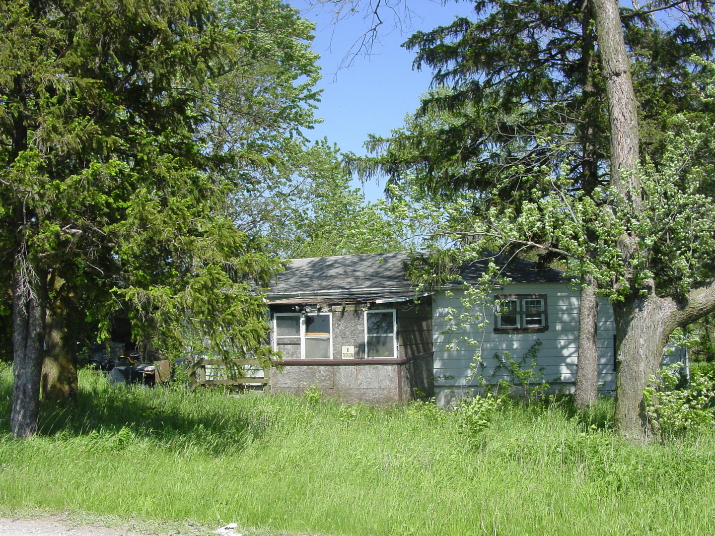 27461 South Scheer Road Manhattan, IL 60442 - Photo 6 of 7 a backyard of a house with plants and large tree