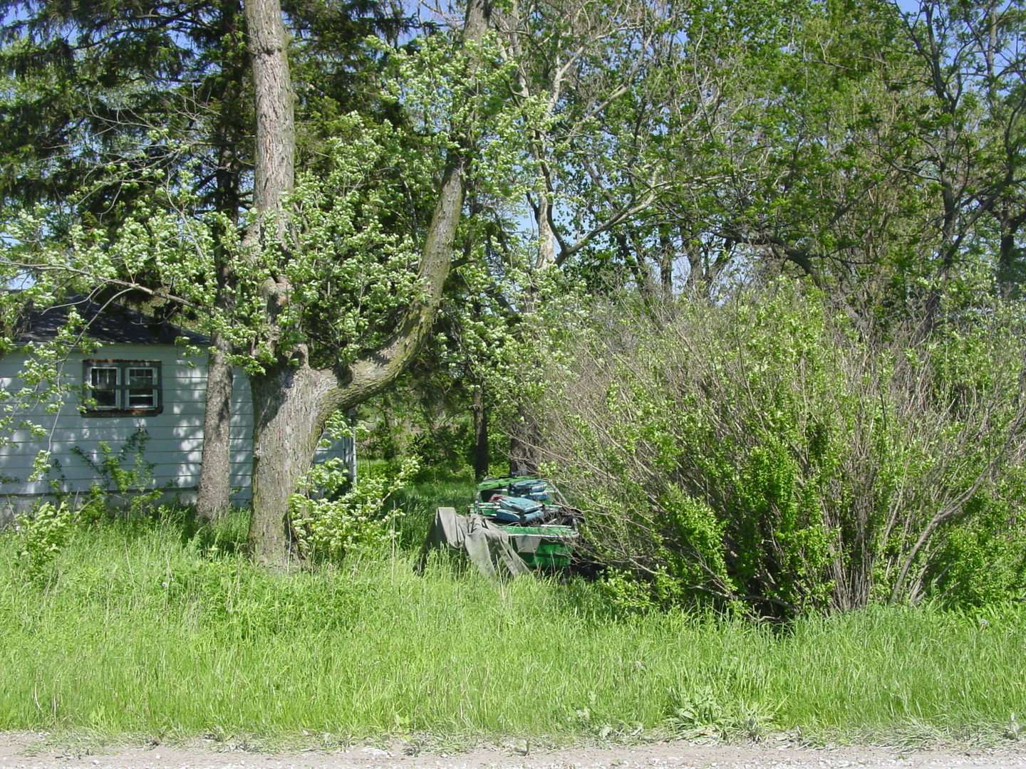 27461 South Scheer Road Manhattan, IL 60442 - Photo 7 of 7 a backyard of a house with lots of green space