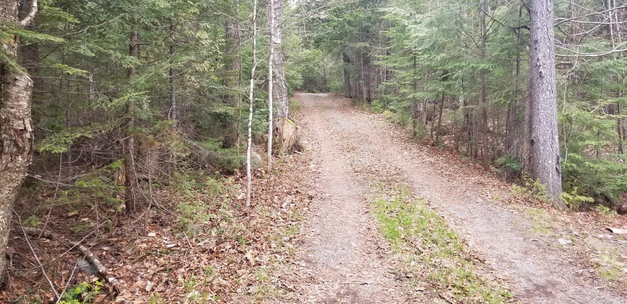 16 Lambertson Road Greenville, ME 04441 - Photo 28 of 32 20190523_141528_resized
