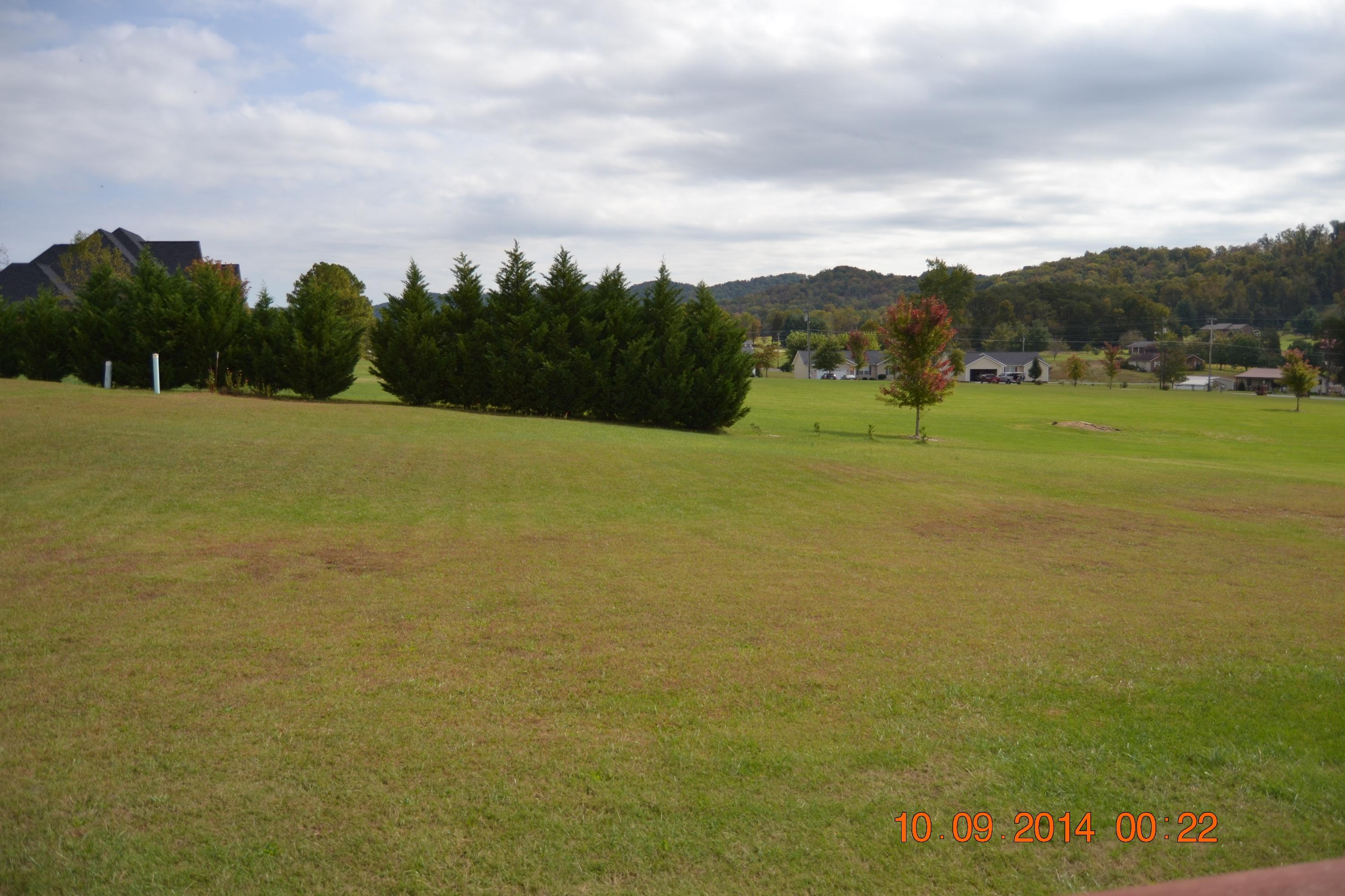 156 Ravyn's Way Maynardville, TN 37807 - Photo 27 of 30 Back Yard