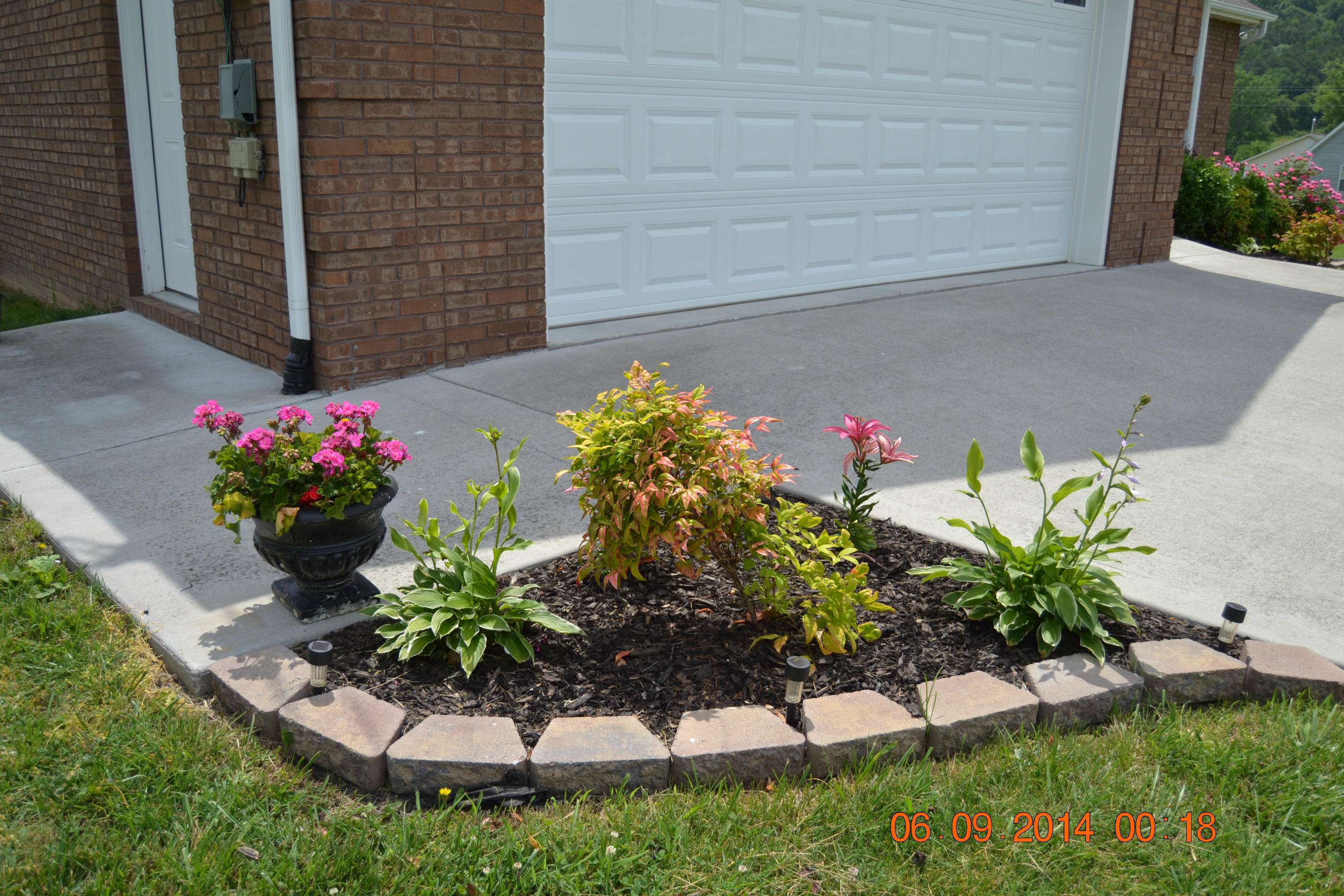 156 Ravyn's Way Maynardville, TN 37807 - Photo 4 of 30 Landscaping