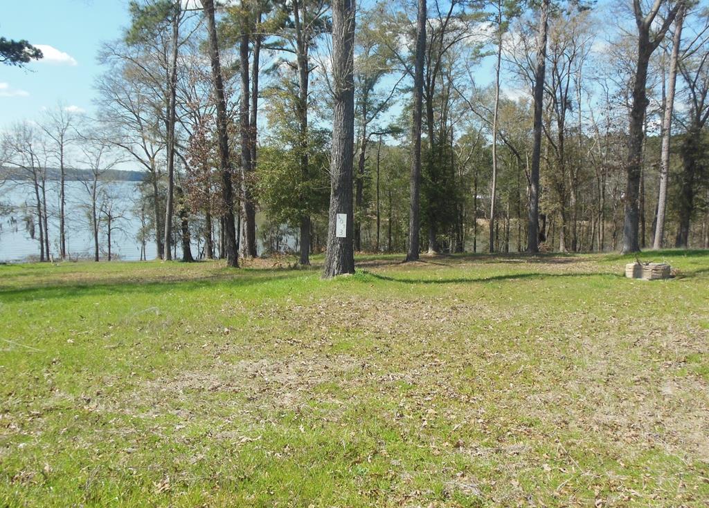 Lot 3 County Line Road Georgetown, GA 39854 - Photo 1 of 1