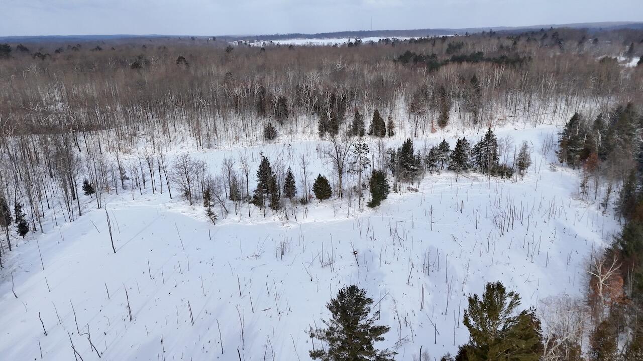 6182 Hamilton Road Harrison, MI 48625 - Photo 12 of 56