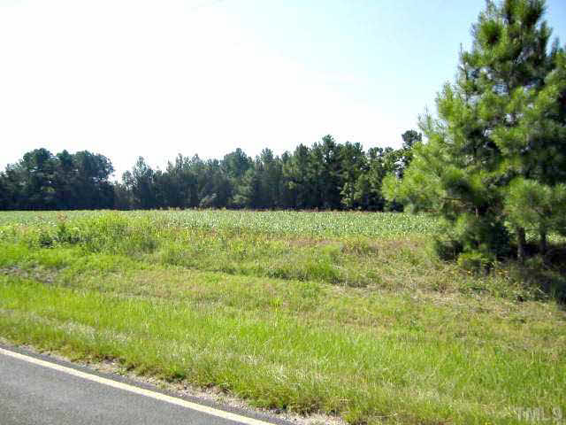 3162 Glebe Road Henderson, NC 27537 - Photo 4 of 12 Field from Glebe