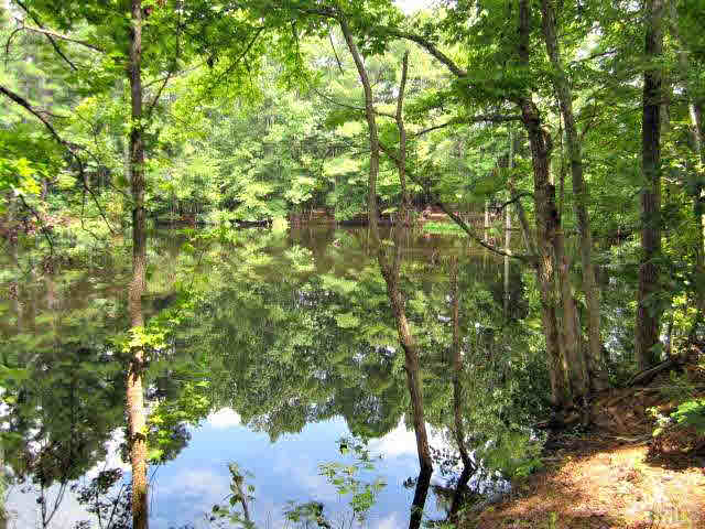 3162 Glebe Road Henderson, NC 27537 - Photo 6 of 12 Pond