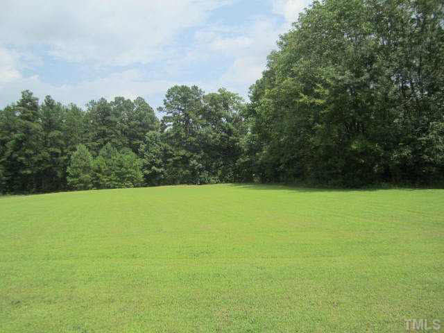 3162 Glebe Road Henderson, NC 27537 - Photo 8 of 12 Open land around historic home