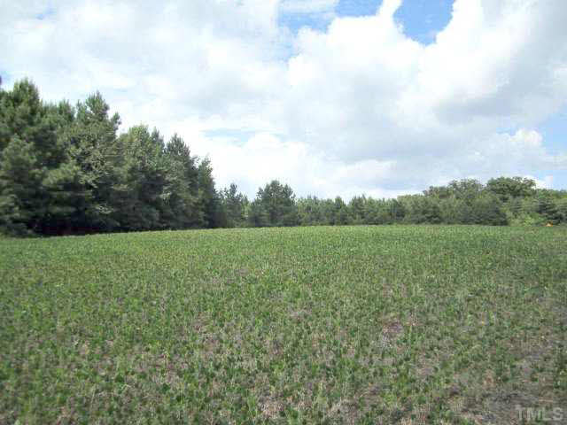3162 Glebe Road Henderson, NC 27537 - Photo 10 of 12 More field pics