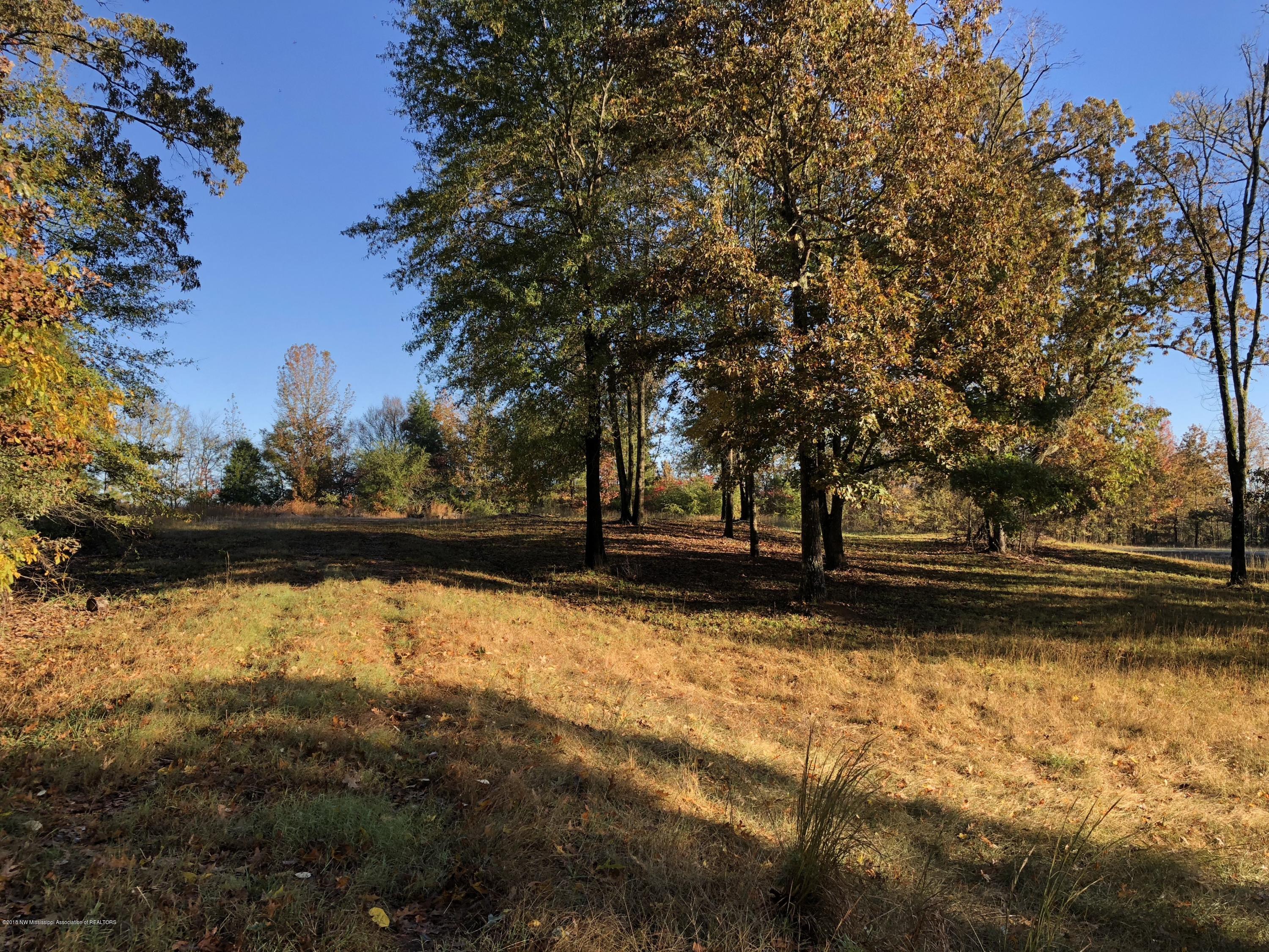 25 Steven Henry Road Hernando, MS 38632 - Photo 6 of 6 IMG_8148