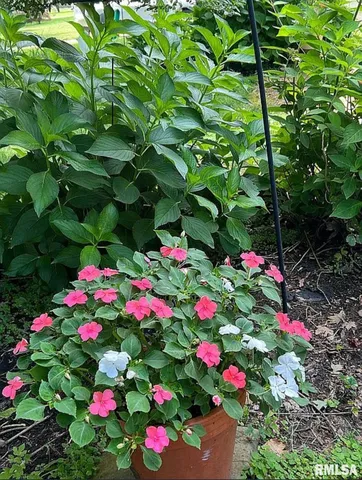 $189,500 | 44 Marberry Drive, Metropolis, IL 62960