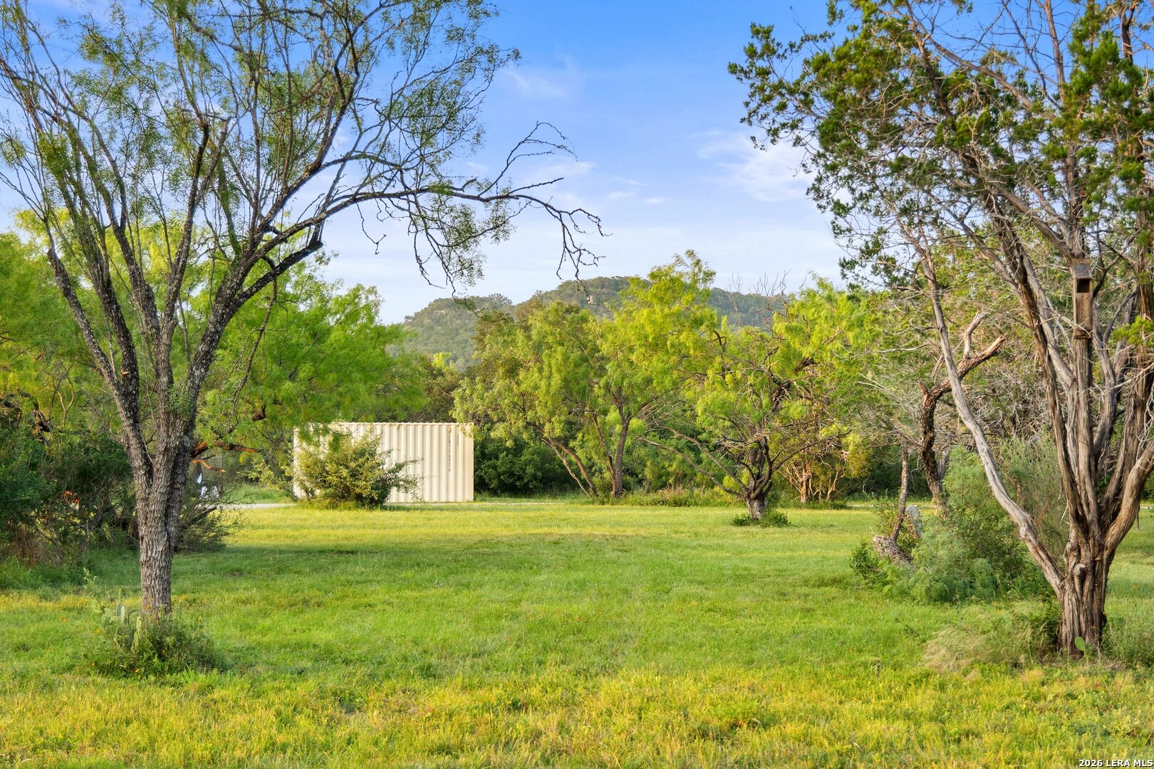 3402 Mormon Mill Road Marble Falls, TX 78654 - Photo 8 of 29 a view of garden with trees