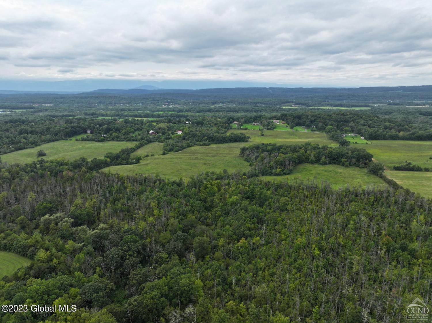 L11 Flats Road Athens, NY 12015 - Photo 10 of 11 flat new 9