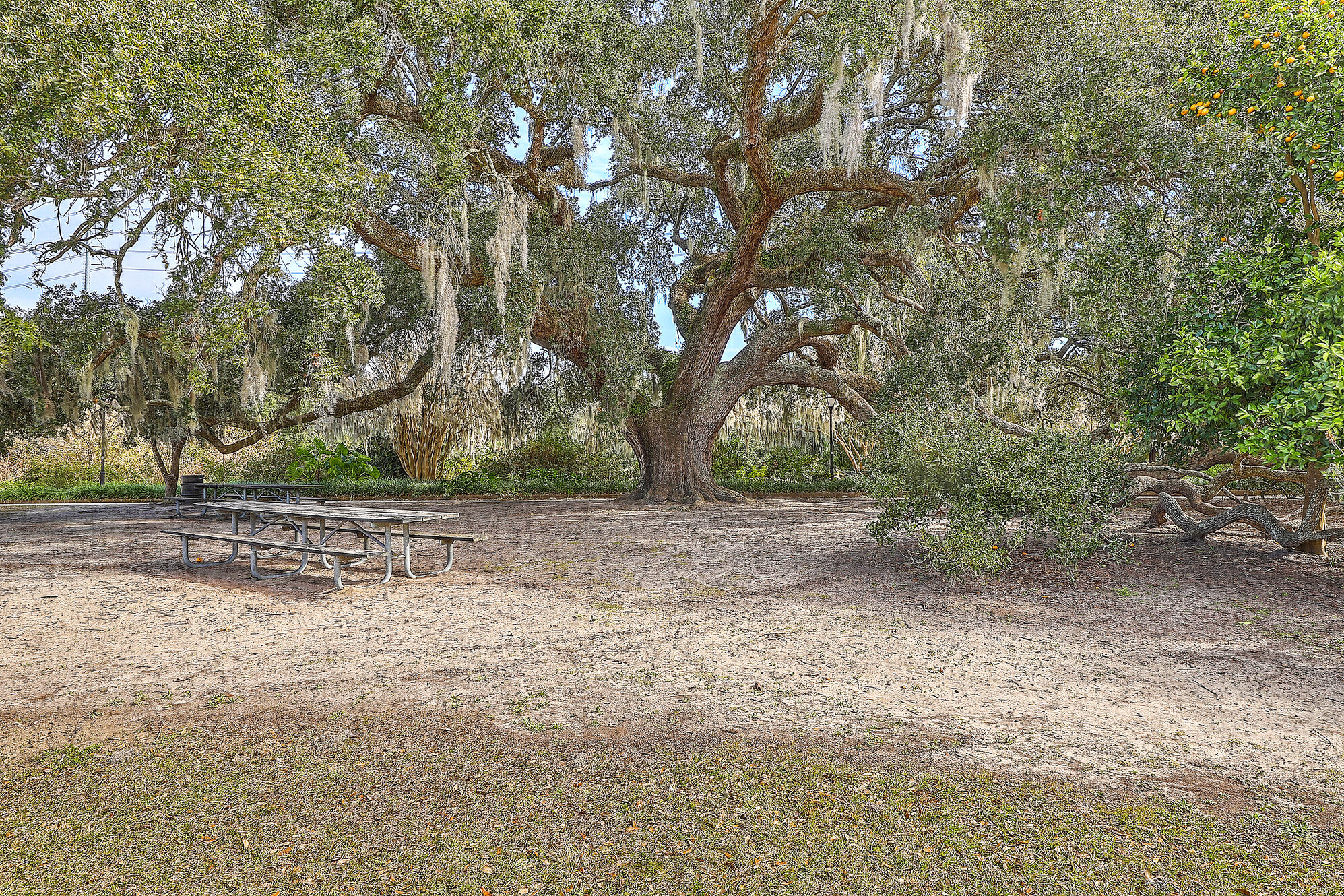 118 Congress Street, Unit F Charleston, SC 29403 - Photo 32 of 38 Nearby Hampton Park