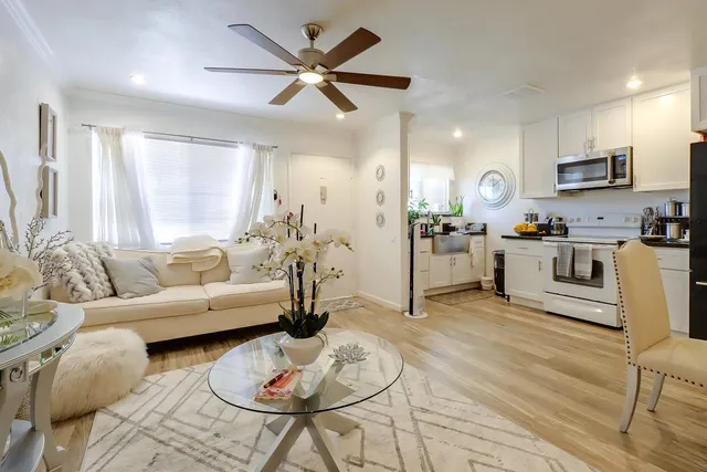 a kitchen with a potted plant on the counter and a sink