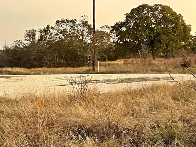 a view of a yard with trees